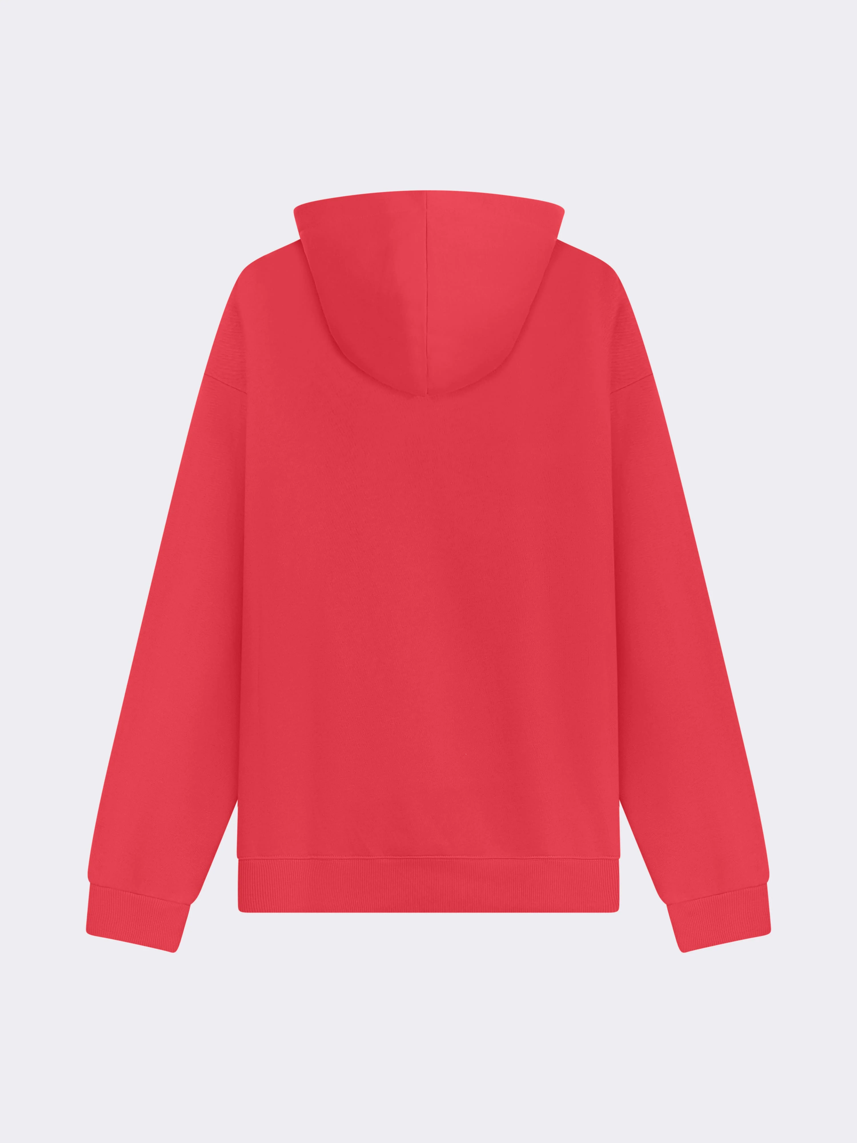 Sweat Ă capuche Strass - Image 7