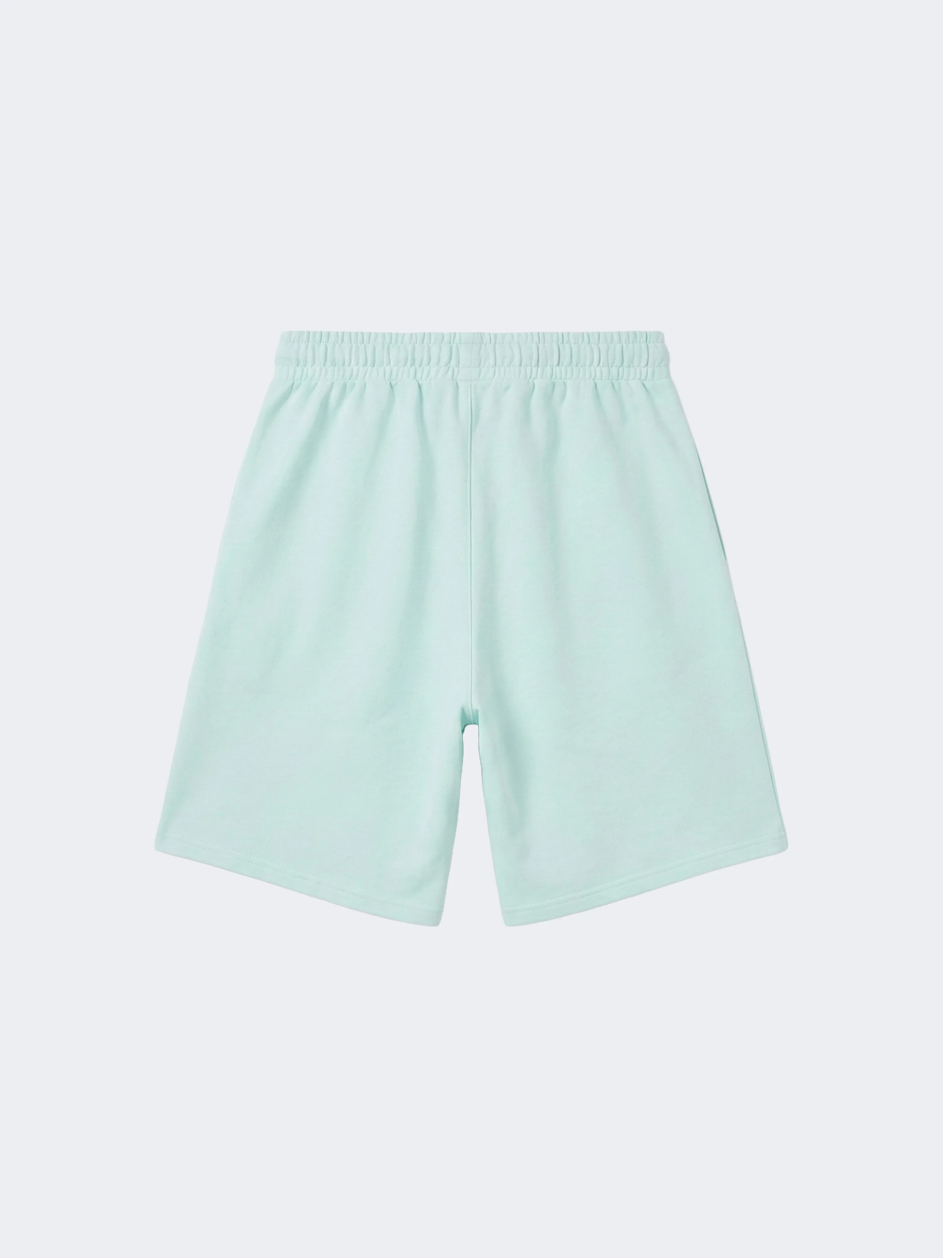 Short Polaris - Image 6